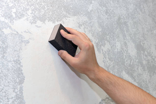 Professional Mold Removal in Middleton, ID