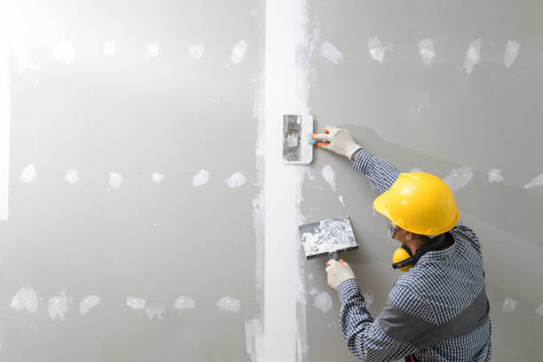 Best Mold Remediation for Healthcare Facilities  in Mdleton, ID