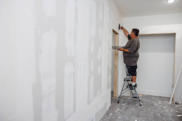 Best Dehumidification Services  in Mdleton, ID