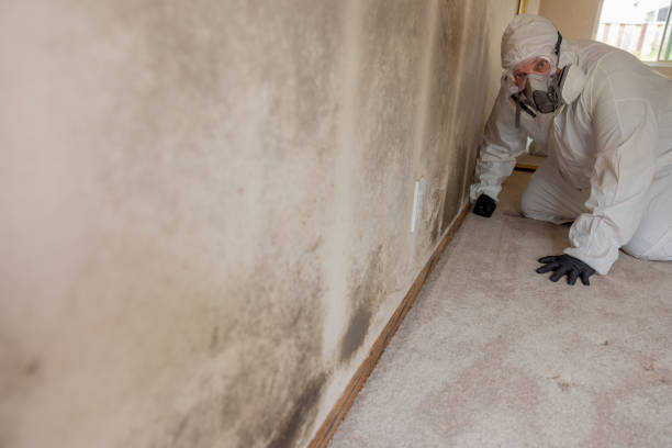 Best Air Quality Testing for Mold Spores  in Mdleton, ID