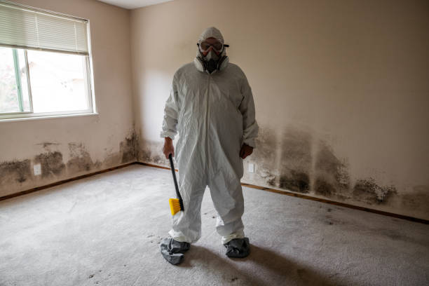 Best HVAC Mold Inspection and Cleaning  in Mdleton, ID